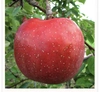 りんご丸々絞った100%青森県産りんごジュース‼️