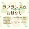 【訳ありラフランス】3kgご家庭用(８～１０個)