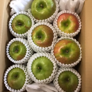 グラニースミス　3kg箱(8〜12玉)　アップルパイやお菓子向き