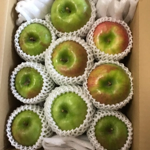 グラニースミス　3kg箱(8〜12玉)　アップルパイやお菓子向き