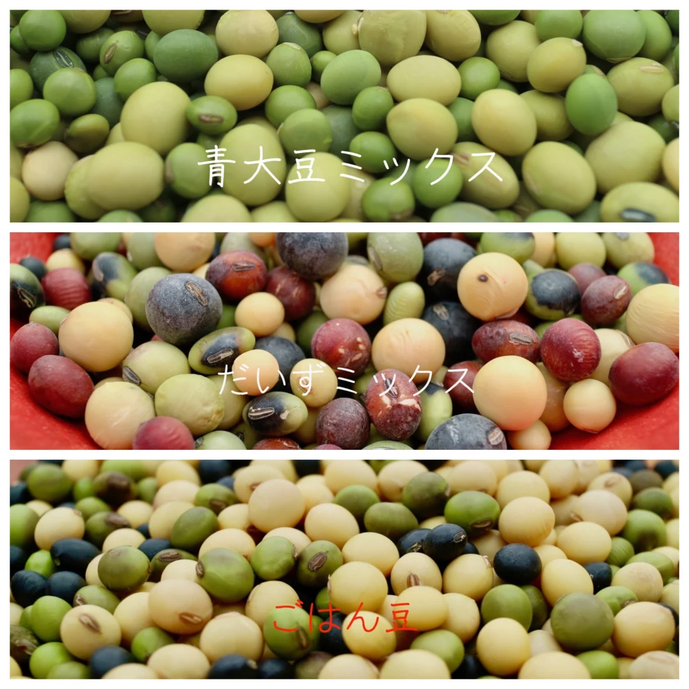 【３or６種類の大豆（２００g入り）を選べるセット】色々な組合せ、いかがですか？