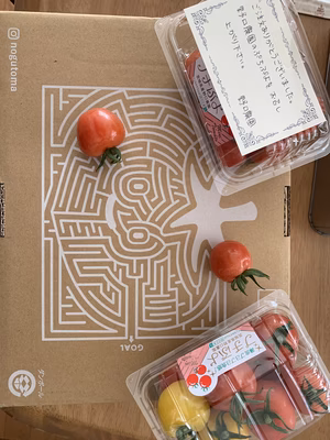 みんなの投稿の画像