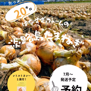 【予約】7月発送◎淡路島産玉ねぎ◎たっぷり20キロ