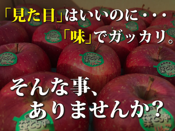 毎年1万箱以上売れてます】青森県産「樹上完熟葉とらずふじ」【家庭用