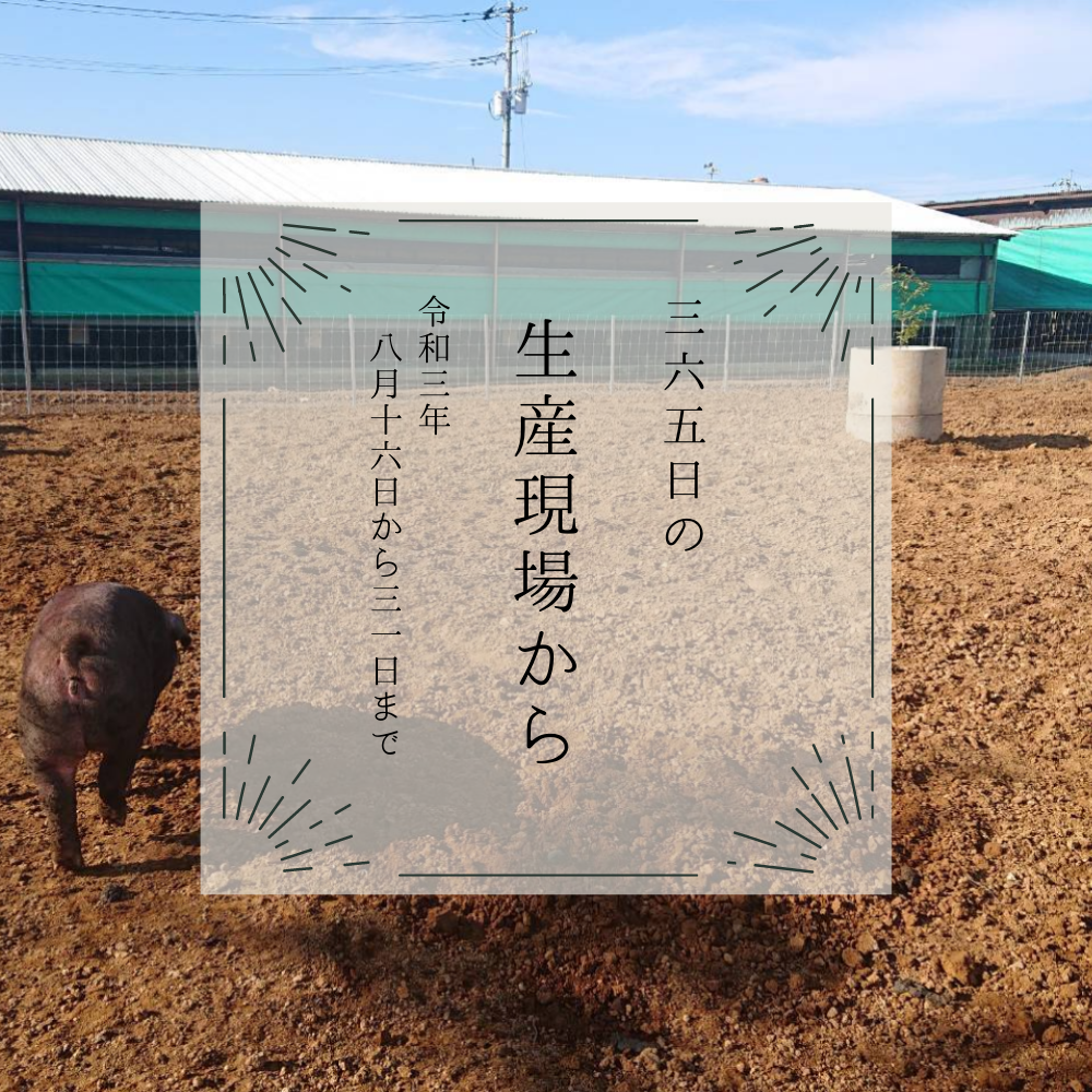 猛暑 長雨 雨不足 相次ぐ 予想外 に現場は 8月後半の生産現場から 農家漁師から産地直送の通販 ポケットマルシェ