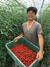 【26%オフキャンペーン中！】高糖度しあわせのトマト