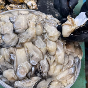 【生牡蠣】【生食用】三重県産 浦村かき むき身 牡蠣（500g）１袋 母の日