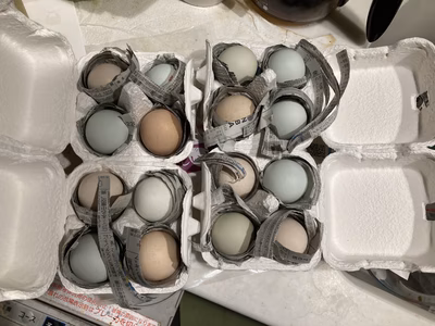 みんなの投稿の画像