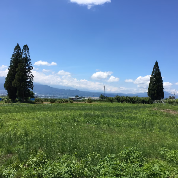 野菜屋八町