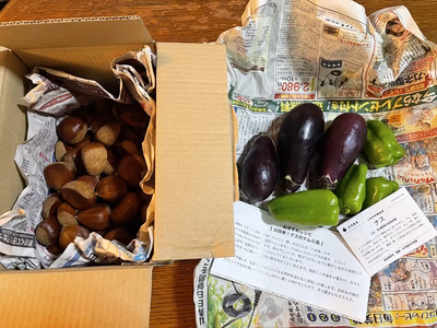 みんなの投稿の画像