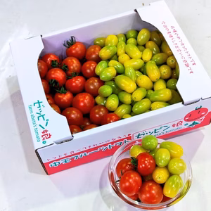 【TZ1.8】ティポも華おとめも食べたい方へ。