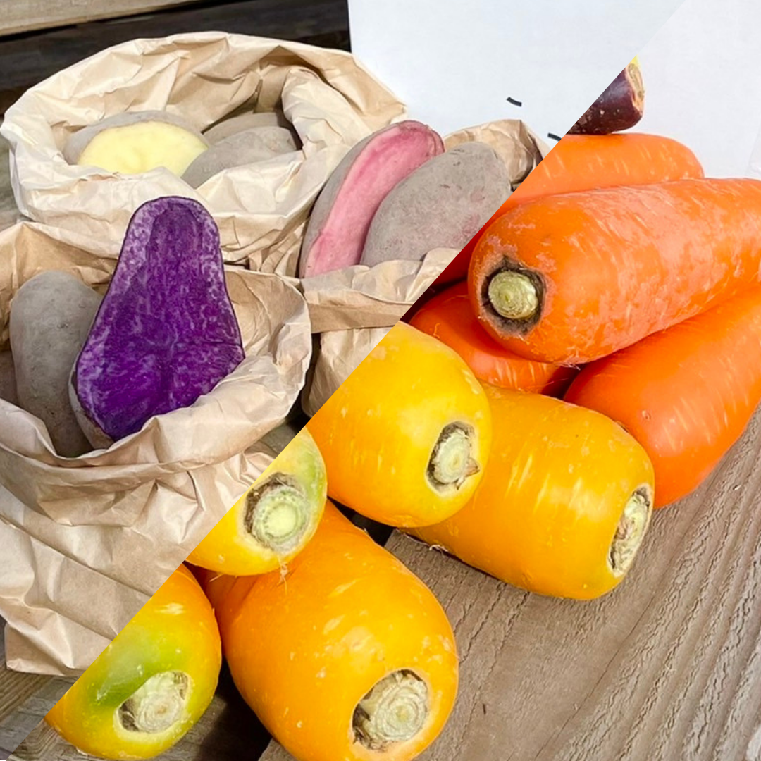 彩り野菜で毎日の食卓に】カラフルにんじん＆じゃがいも詰め合わせ