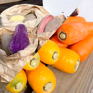 【彩り野菜で毎日の食卓に】カラフルにんじん＆じゃがいも詰め合わせセット