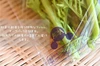 【お値段以上!!】"完熟人参3㎏" と "旬の冬野菜3～4品目”セット