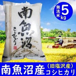 【定期購入・毎月１回5kg】令和３年南魚沼産コシヒカリ無洗米 最高級塩沢産