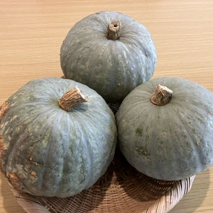 [自然栽培][無肥料無農薬栽培] かぼちゃ：ケイセブン