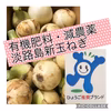 美品！有機肥料・減農薬  淡路島の新玉ねぎ✨
