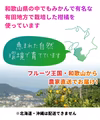 無添加 不知火 しらぬい ジュース 720ml【賞味期限2026年3月6日】