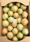 【超訳あり！】味は美味しい⭐️大玉トマトの訳あり詰め合わせ