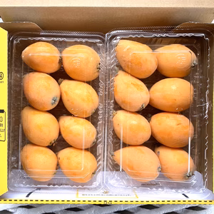 【訳あり・初夏の味覚】大澤農園の枇杷(家庭向)