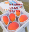 【全国送料無料‼】石垣島 極旨マンゴー2k以上（4～6玉入）