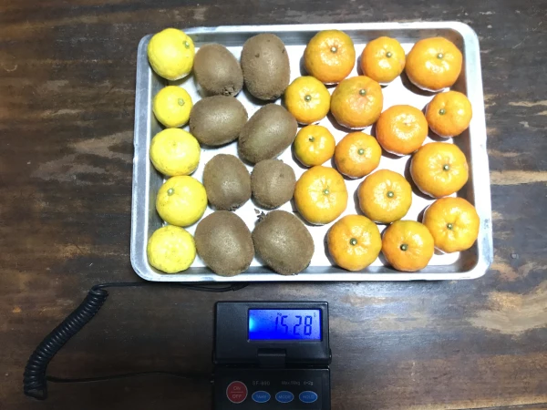 ゆず キウイ 小ミカン セット　自然農 無農薬 有機栽培 オーガニックユズ 柚