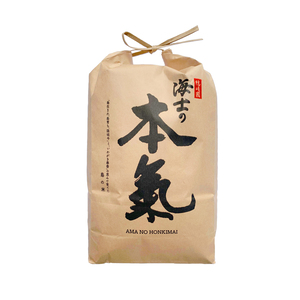 令和2年産 本氣米 きぬむすめ5kg