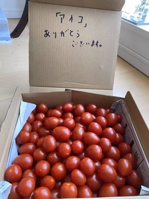 みんなの投稿の画像