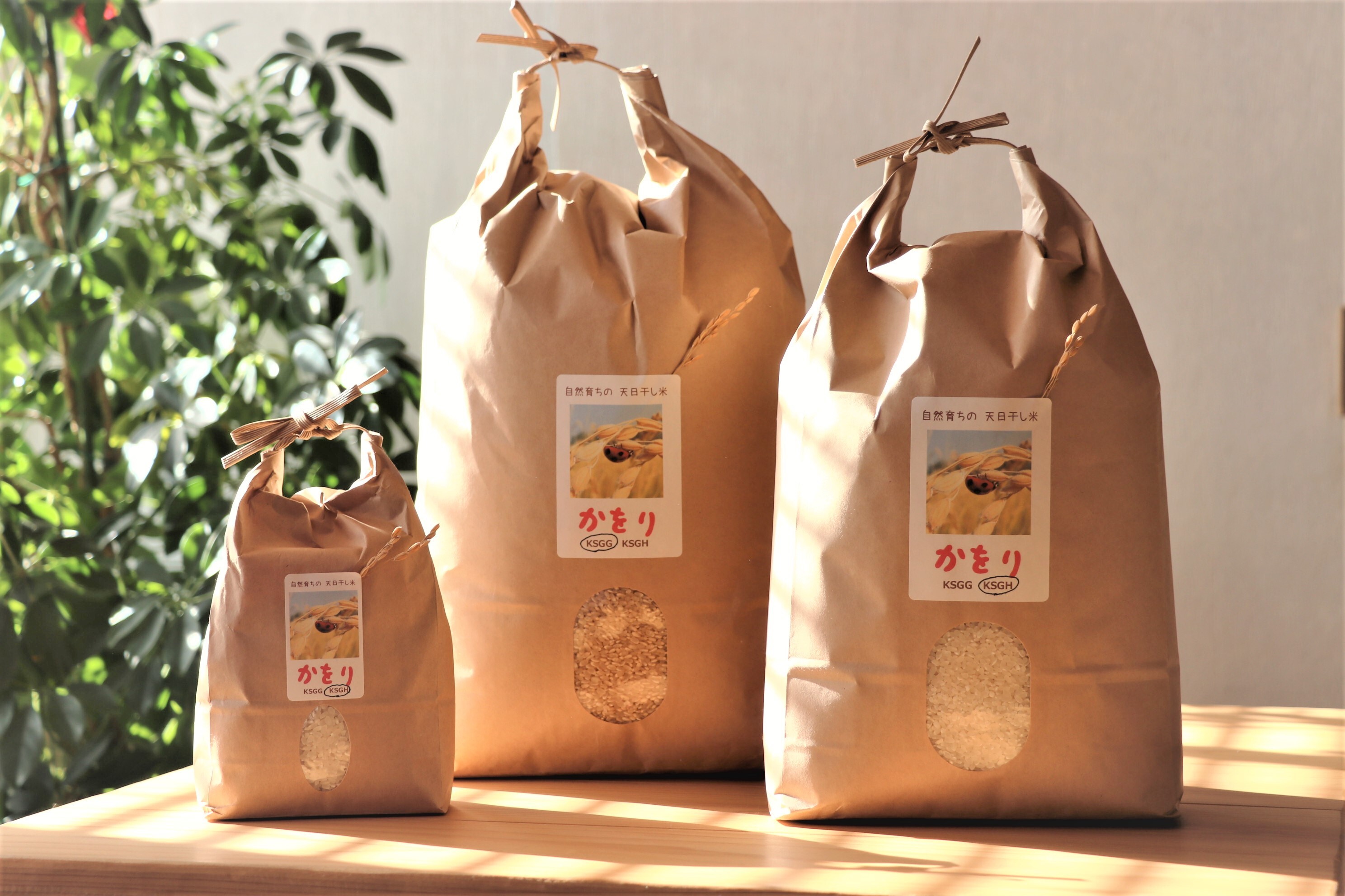自然栽培・天日干しのお米「かをりしぐれ」白米(令和5年産) 1kg