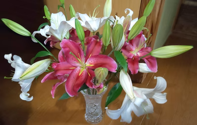 みんなの投稿の画像