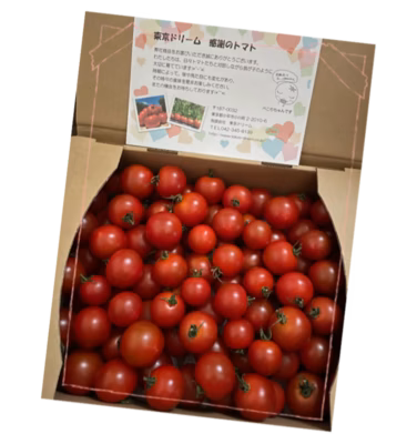 みんなの投稿の画像