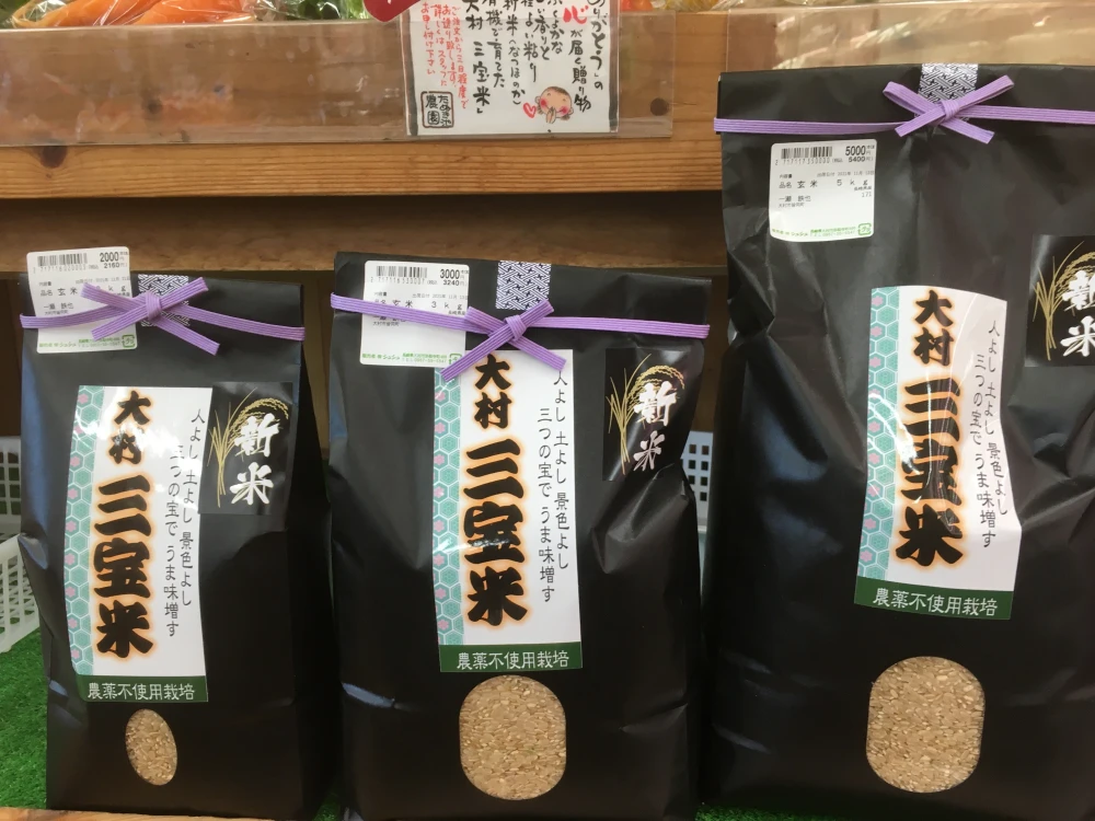 長崎県産　玄米