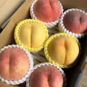 なんでも送っちゃえ　桃！2025年産＜ビックリ( ﾟДﾟ)BOX＞家庭用