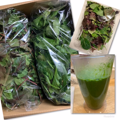 みんなの投稿の画像