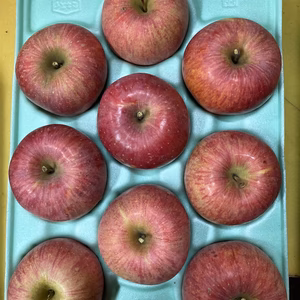 ふじ約3キロ7-12玉入ちょっと訳あり葉取らず樹上完熟サンふじ　減農薬栽培