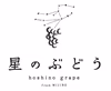 みずみずしい！星のぶどうピオーネ2房（予約販売）