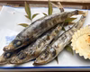 【夏ギフト】ホクホクした白身がお腹を満ぷくにするメヒカリ中1Pc/800g