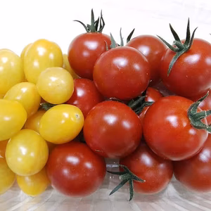 常温便3日～13日にお届け10％増量おいしい甘ーいフルティカとティポ