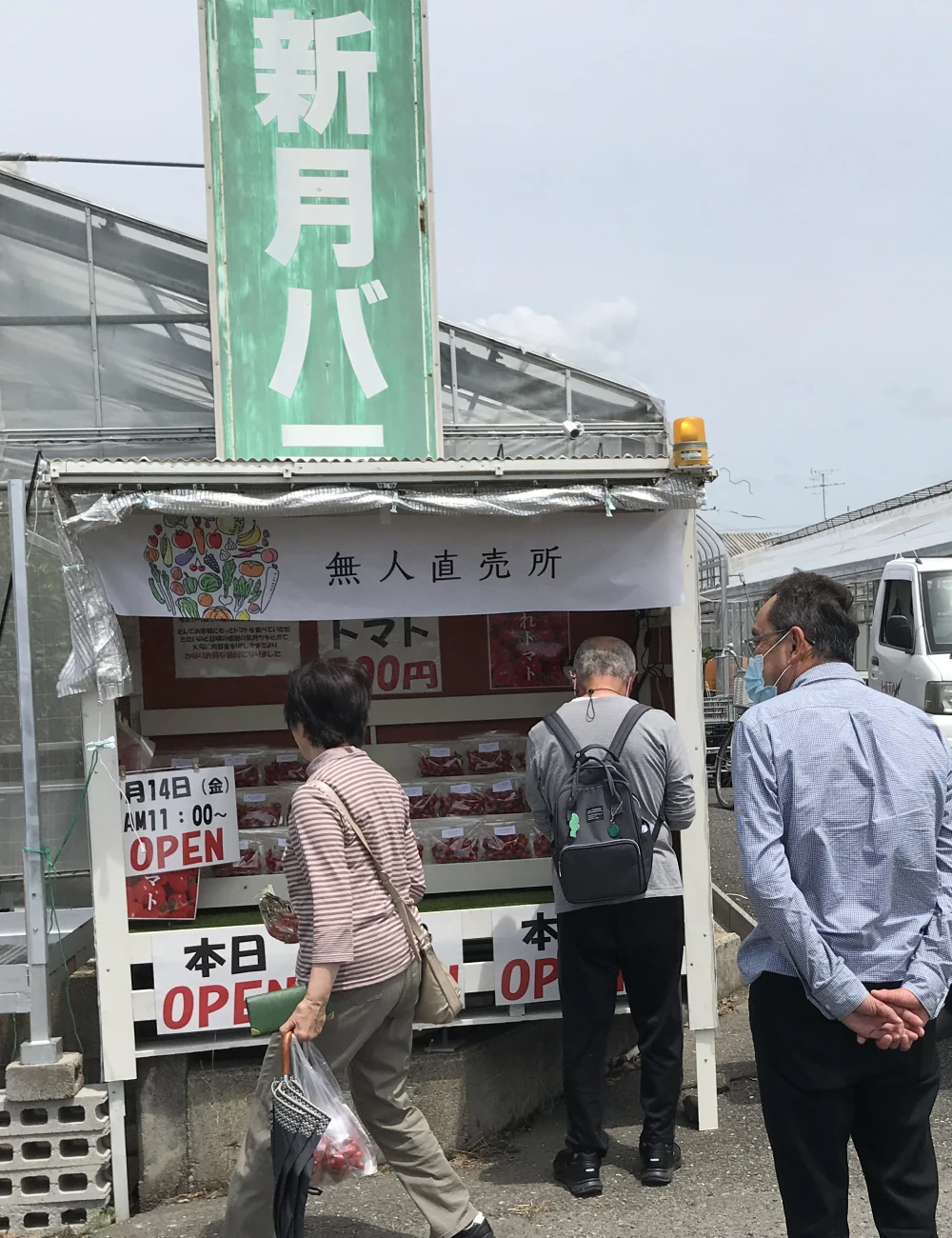 ミニトマト　太陽の恵みをたっぷりもらった糖度10度以上の「ほれトマト」2kg