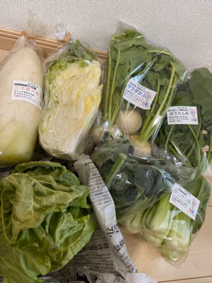 みんなの投稿の画像