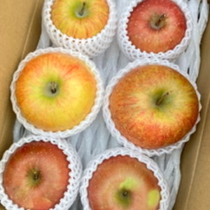 【訳アリ希少品種】りんご「大夢」