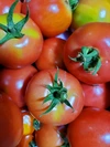 JAS有機☆特別栽培畑終いの野菜たちトマト付きをモリって☆信州諏訪湖の畔から