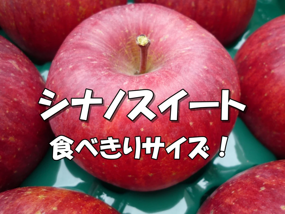 シャキッ！甘～い！小玉 食べきりサイズ！シナノスイート 約3kg～ 信州りんご ｜果物の商品詳細｜ポケットマルシェ｜産直(産地直送)通販 -  旬の果物・野菜・魚介をお取り寄せ