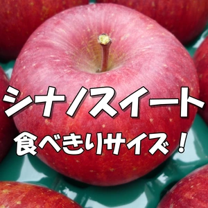 シャキッ！甘～い！小玉 食べきりサイズ！シナノスイート 約3kg～ 信州りんご 