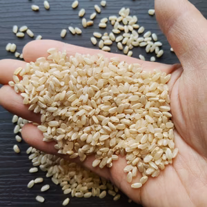 【農薬不使用】《令和7年・和歌山県産》日本晴★玄米【肥料除草剤不使用】