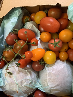 みんなの投稿の画像