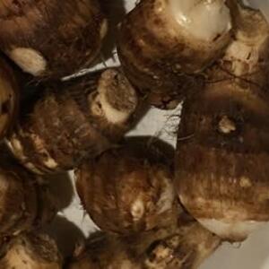 おっぺし芋 里芋 農家のおやつ 農家漁師から産地直送の通販 ポケットマルシェ