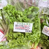 【旬の野菜詰め合わせ 80サイズ】農家直送 新鮮野菜