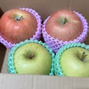 トキ やたか 食べ比べセット 秋田県産 りんご ギフトはもちろんご家庭でも