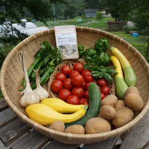 【お試し旬野菜セット】野菜不足一人暮らしの方に！